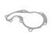Водяной насос Ford Connect 1.8DI / TDCI, 55 / 66 / 81kw 02- с двойным шкивом 538025610INA фото 6