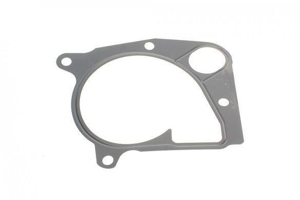 Водяной насос BMW 3 (E46 / E90-E92) 318d / 320d / 325d / 5 (E60 / E61), M47 / M57 / N47 538017110INA фото