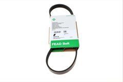 Ремінь генератора Land Rover Freelander 1.8 16V 00-06 FB5PK736INA фото