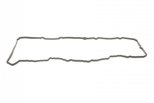 Прокладка крышки клапанов BMW 3 (E90 / E91) / 5 (F10 / F11 / F07) / 7 (F01 / F02 / F03 / F04) 3.0D 07- N57D30 154128701RNZ фото