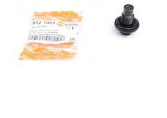Болт слива масла Ford Transit / Citroen Jumper / Peugeot Boxer 06- 5121003ATT фото
