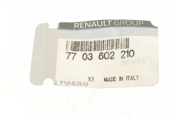 Болт крепления подрамника (переднего) Renault Kangoo 08- (L) 7703602210 фото
