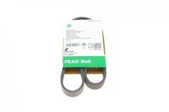 Ремень генератора VW Polo / Up 11- / Skoda Fabia 14- / Seat Ibiza 1.0 / 1.6 15- (6PK989) FB6EPK989INA фото